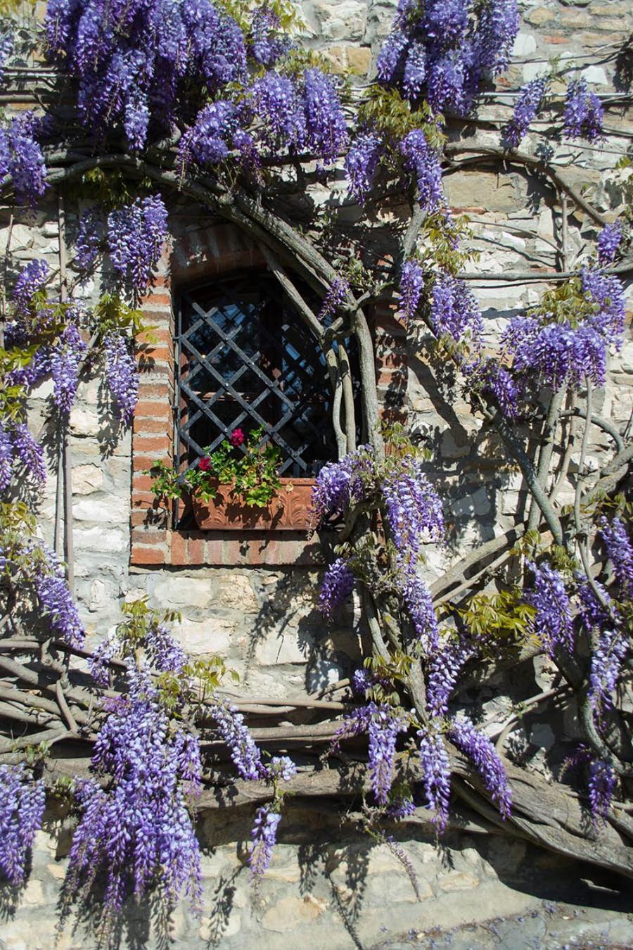 Alloggio per agriturismo Nittardi *